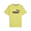 T-shirt à logo Essentials Homme PUMA Lime Sheen Green