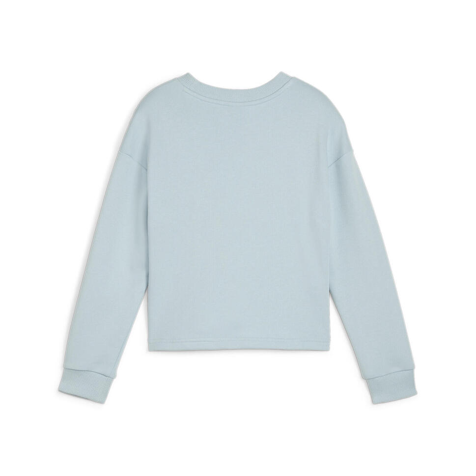 Puma Bluza Tr 67936122
