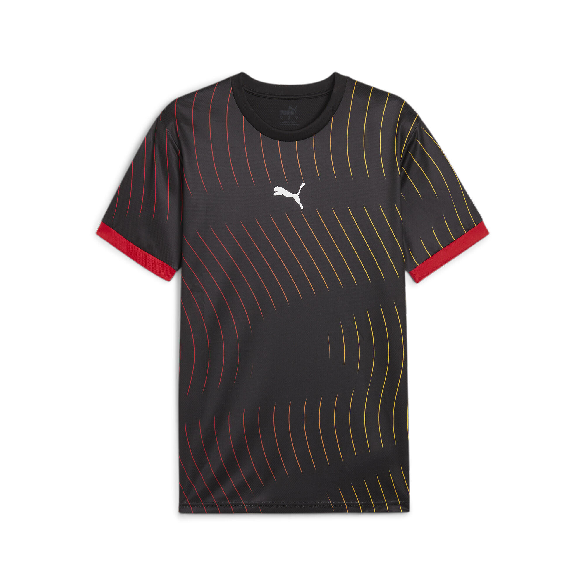 PUMA picture