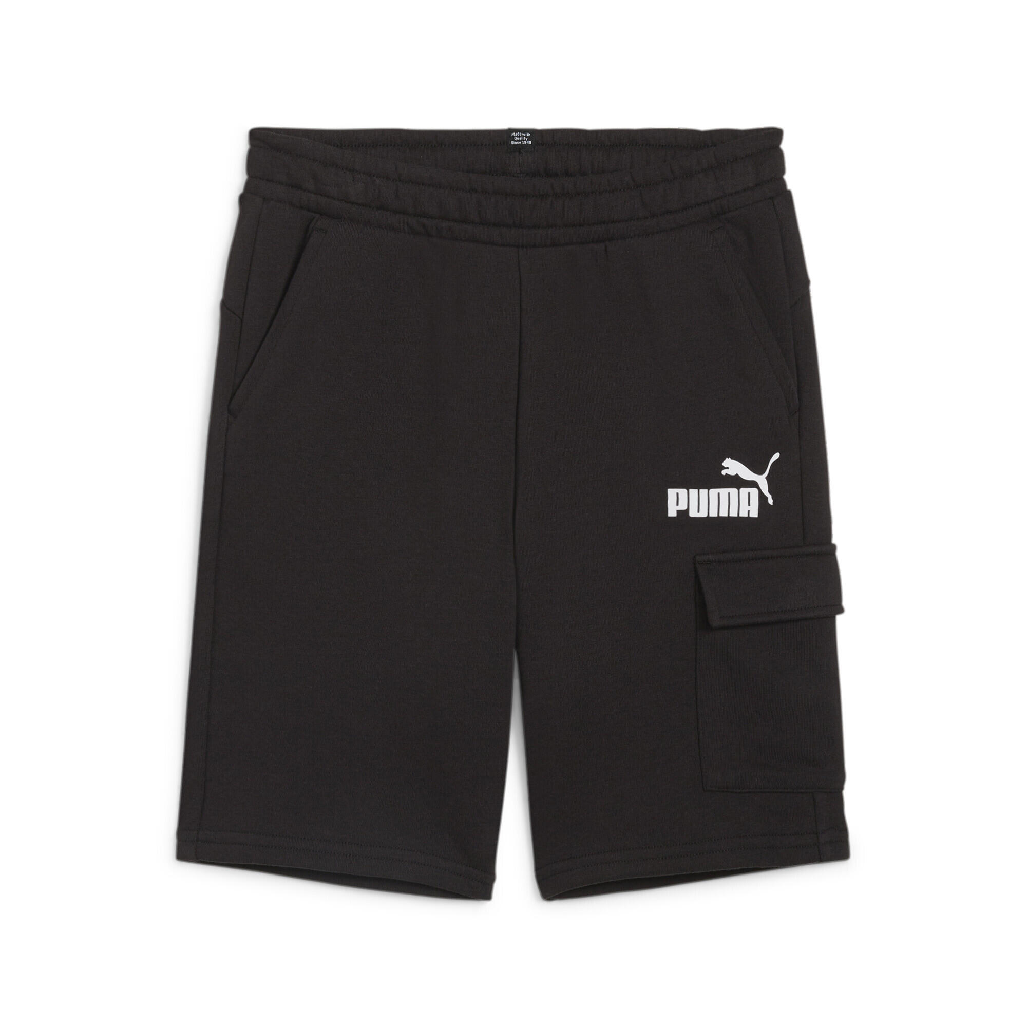 PUMA picture