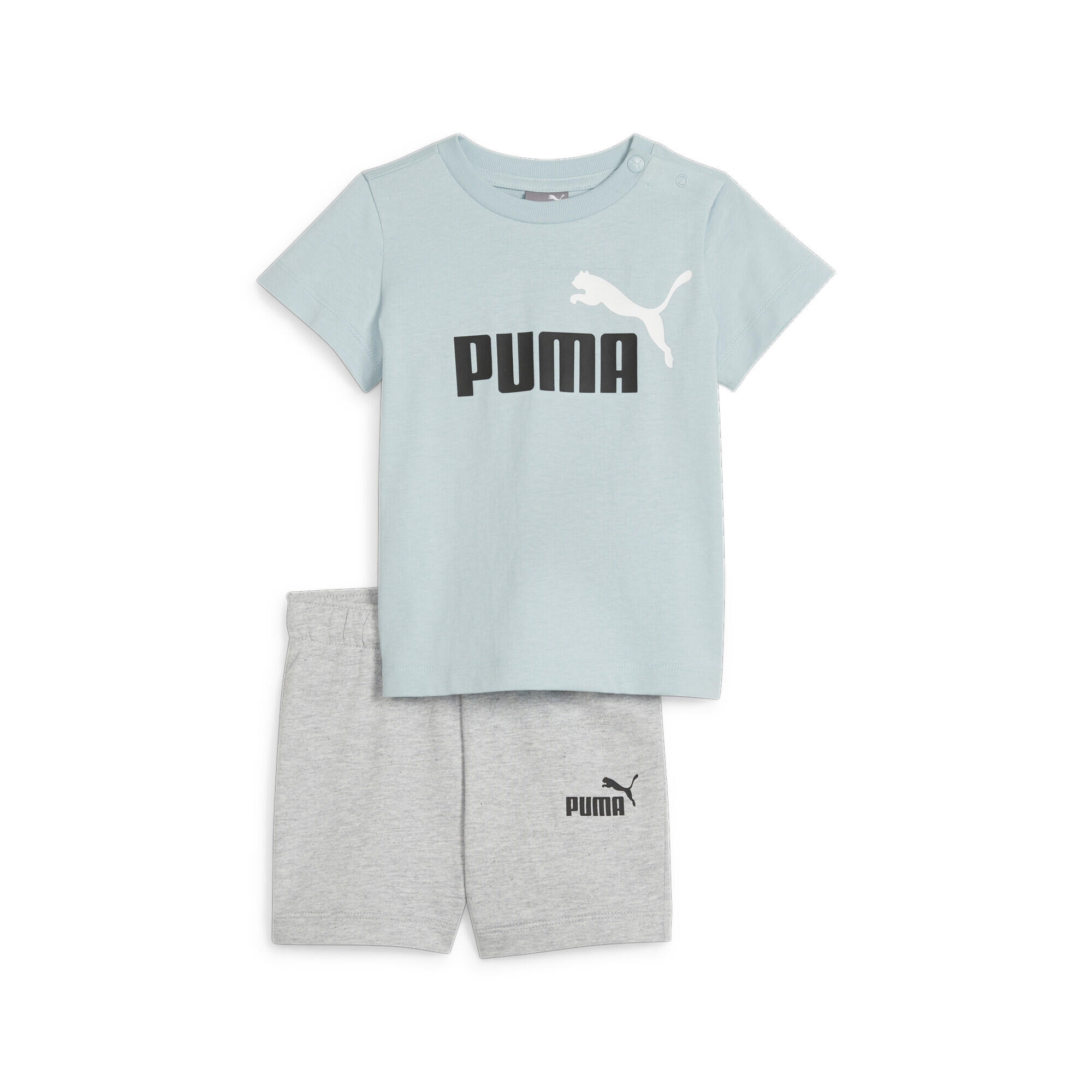 PUMA picture