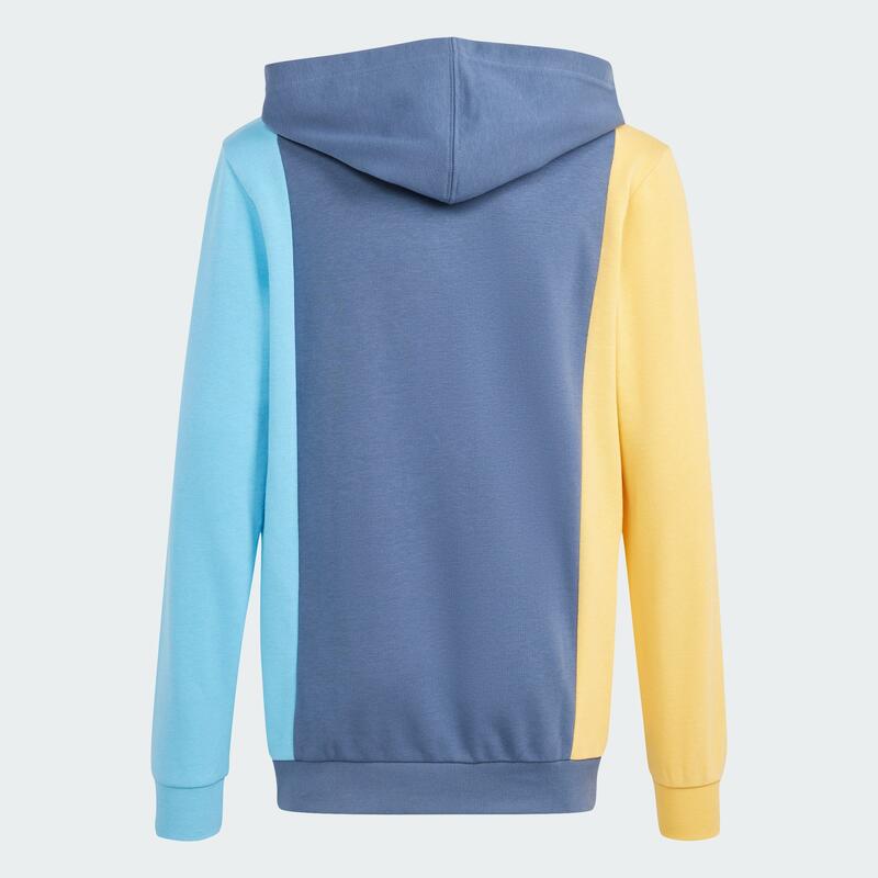 Sudadera con capucha Essentials Colorblock (Adolescentes)