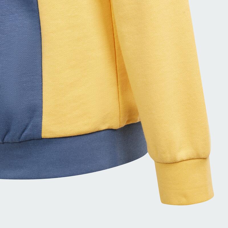 Sudadera con capucha Essentials Colorblock (Adolescentes)