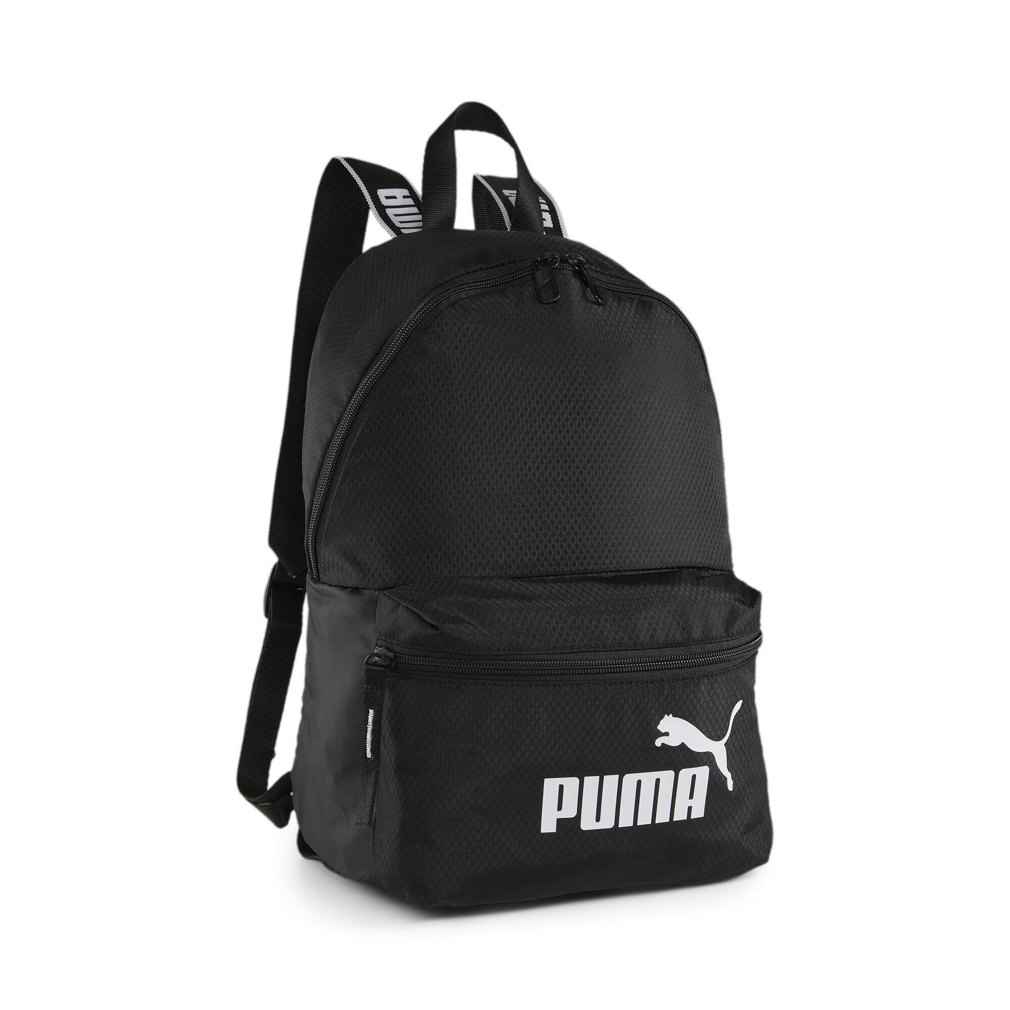 PUMA picture