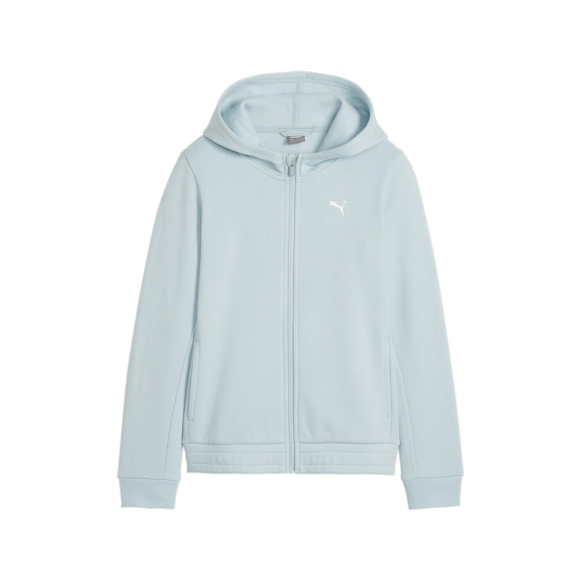 PUMA picture