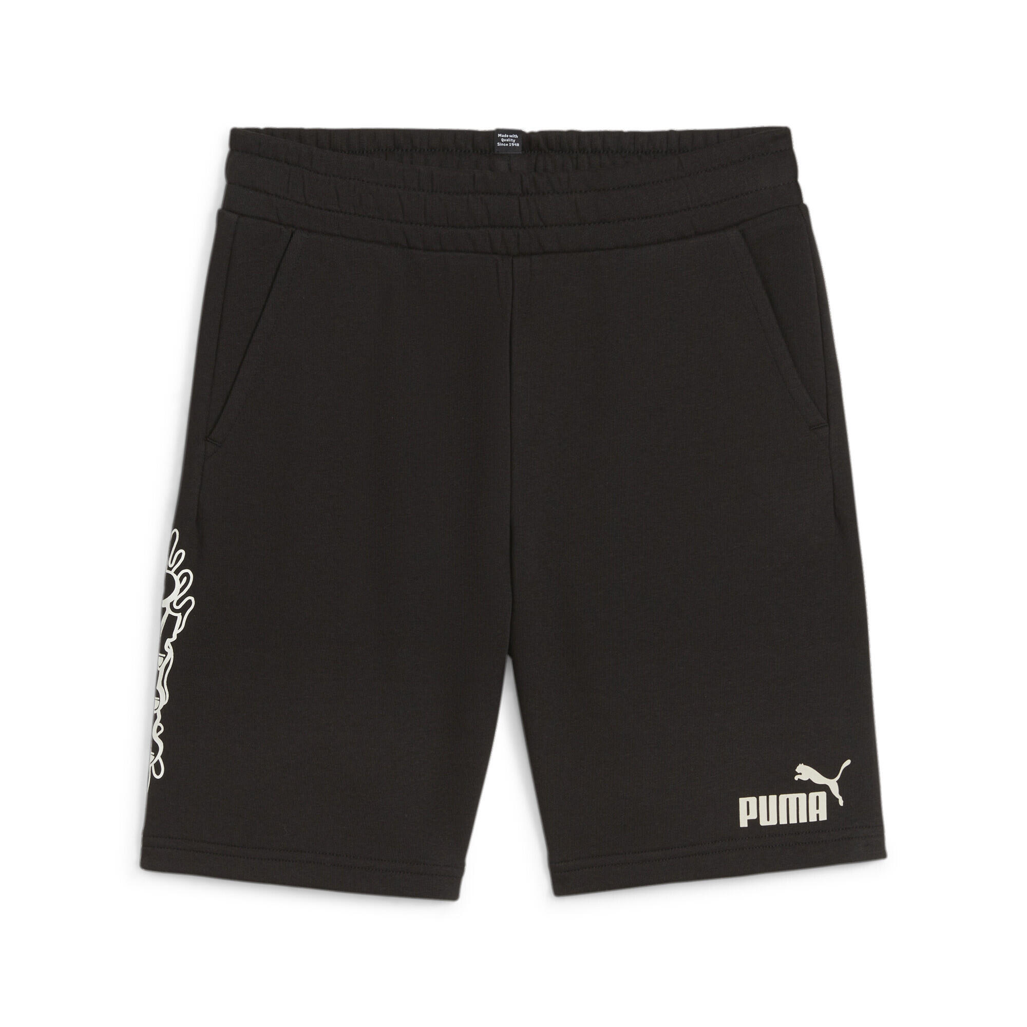 PUMA picture