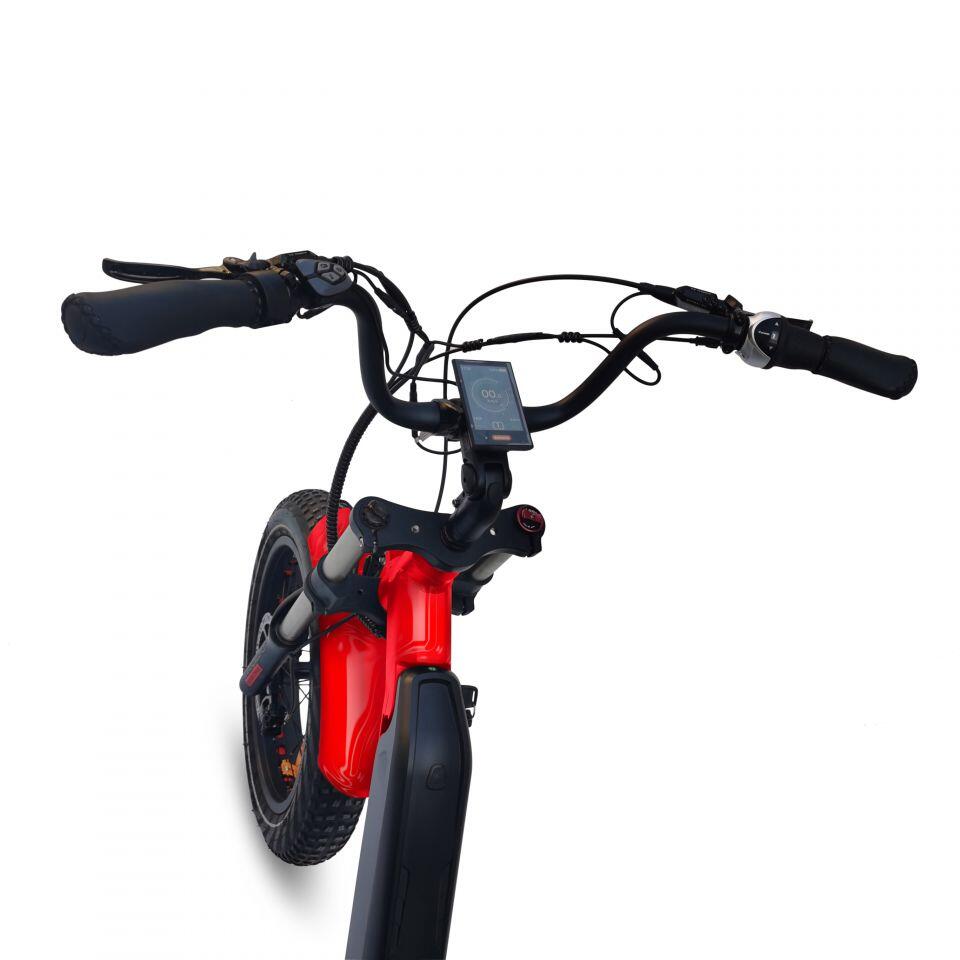 Mid Drive Electric Mountain Trike JMT7 (250W) 2/7