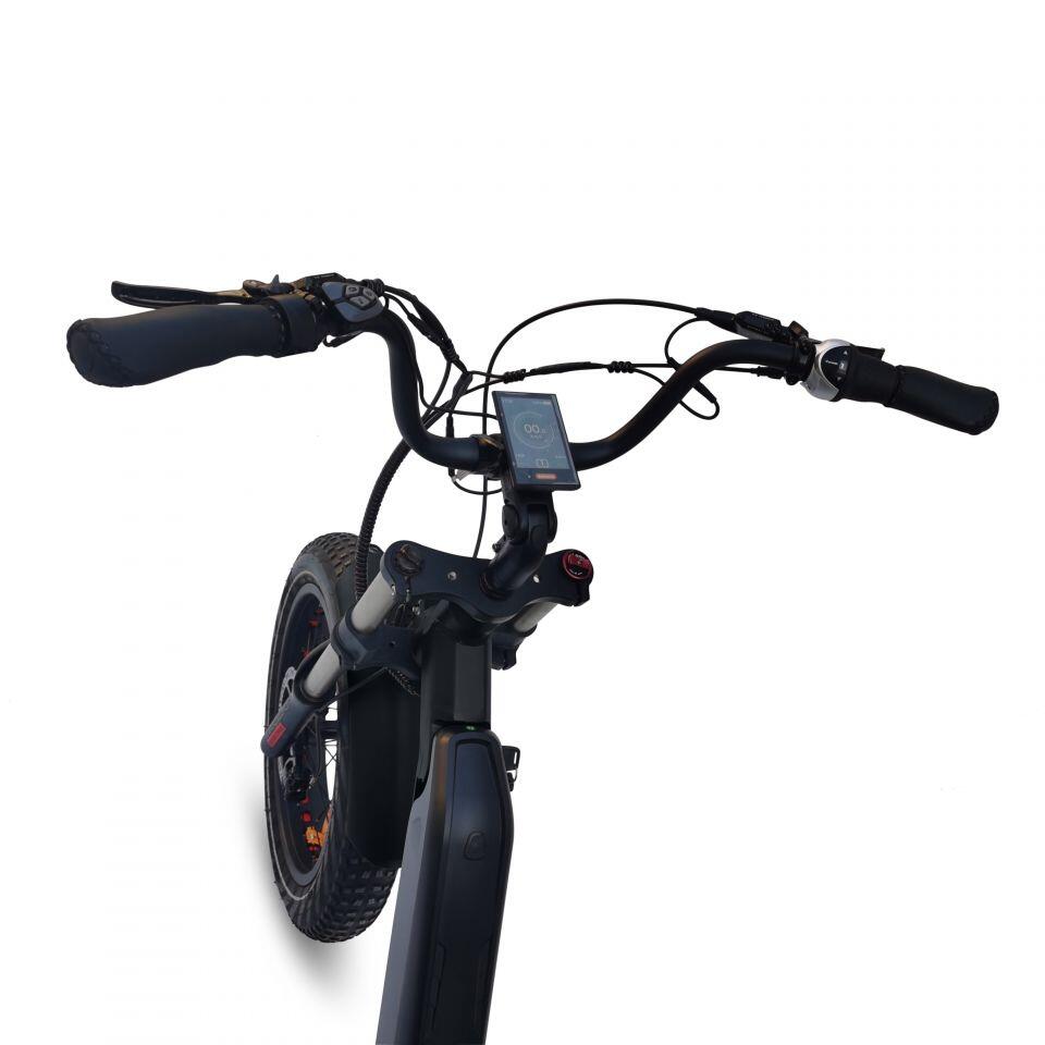 Mid Drive Electric Mountain Trike JMT7 (250W) 2/7