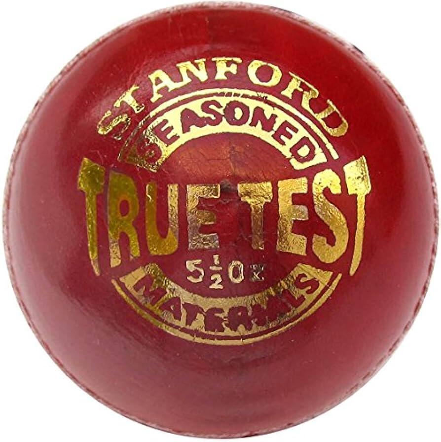 SS True Test Cricket Ball 2/3