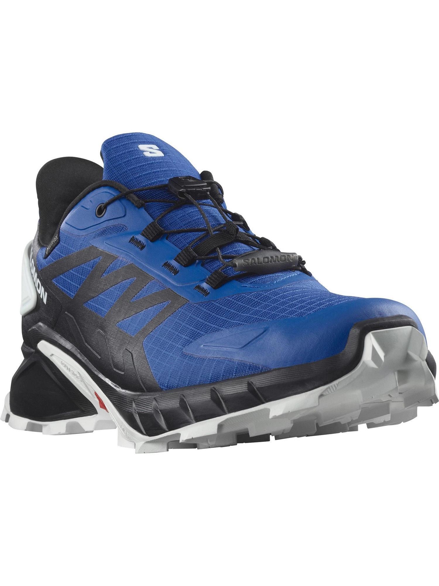 SALOMON picture