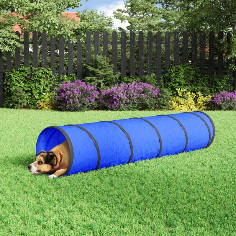 Túnel para cães Ø 40x200 cm poliéster azul