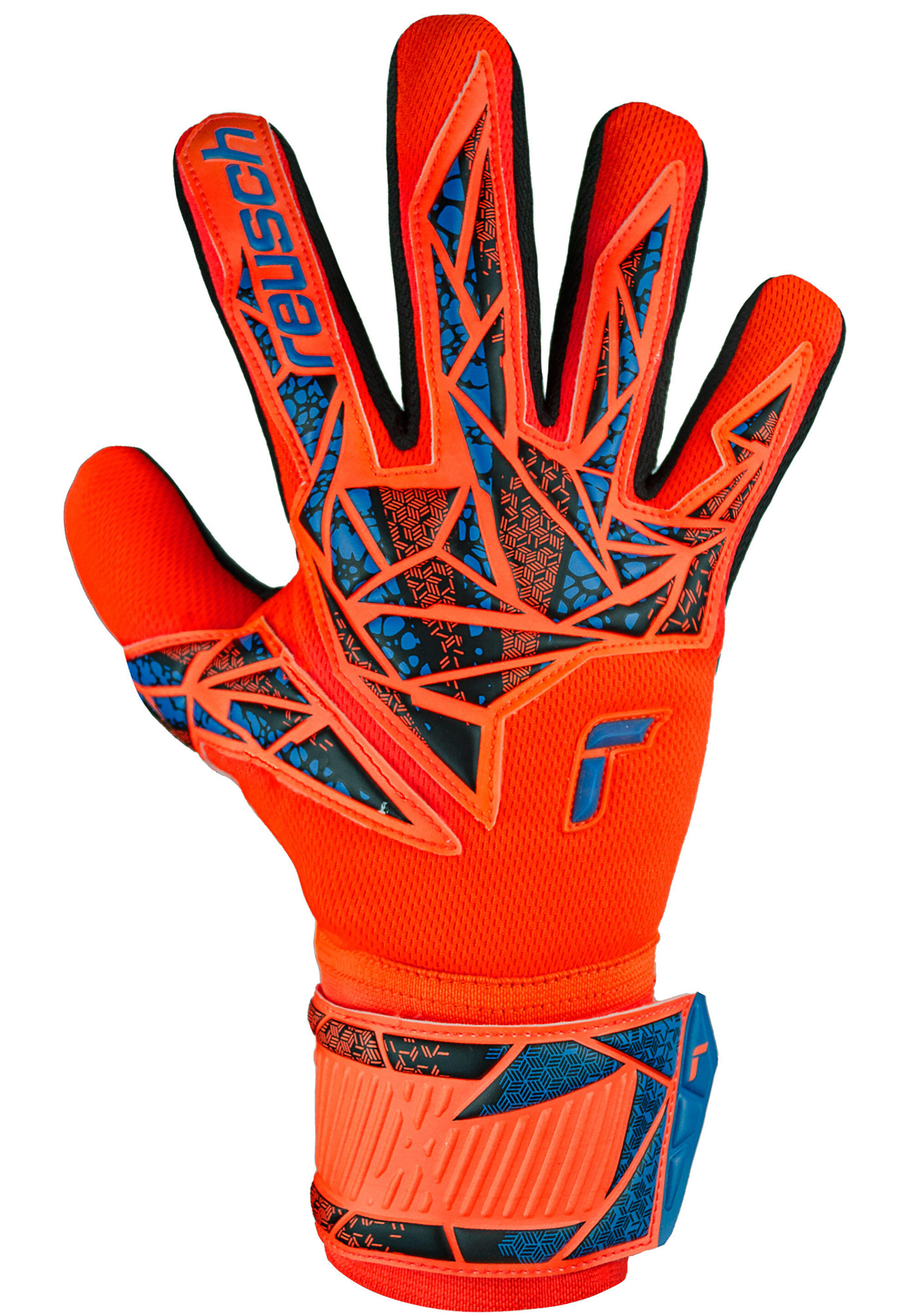 Gants de gardien Reusch Attrakt Silver NC 2/7