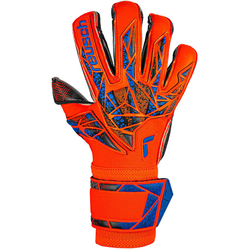 REUSCH Gants de gardien Attrakt Gold X Evolution GluePrint