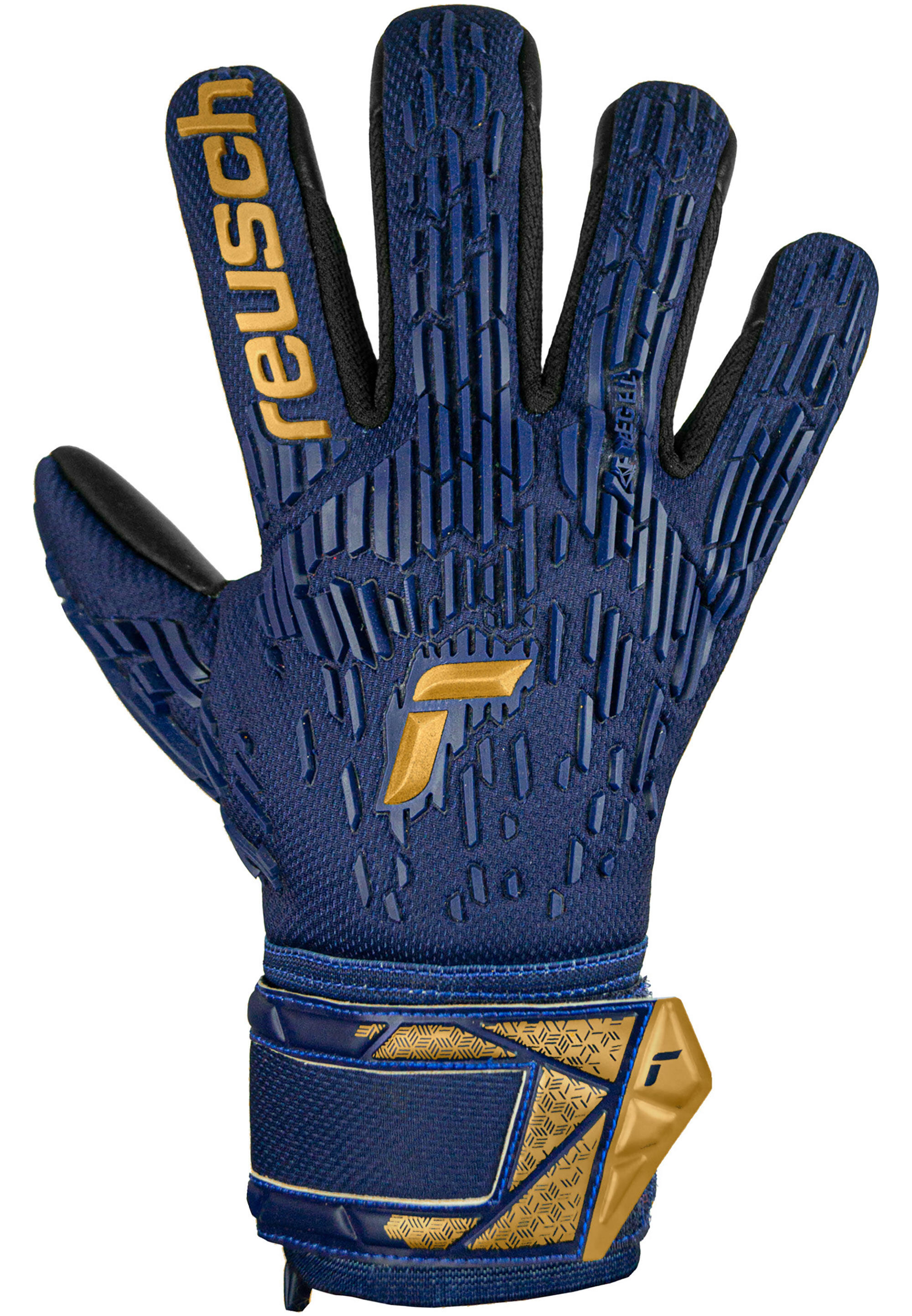 Torwarthandschuh Attrakt Freegel Silver Junior 2/7