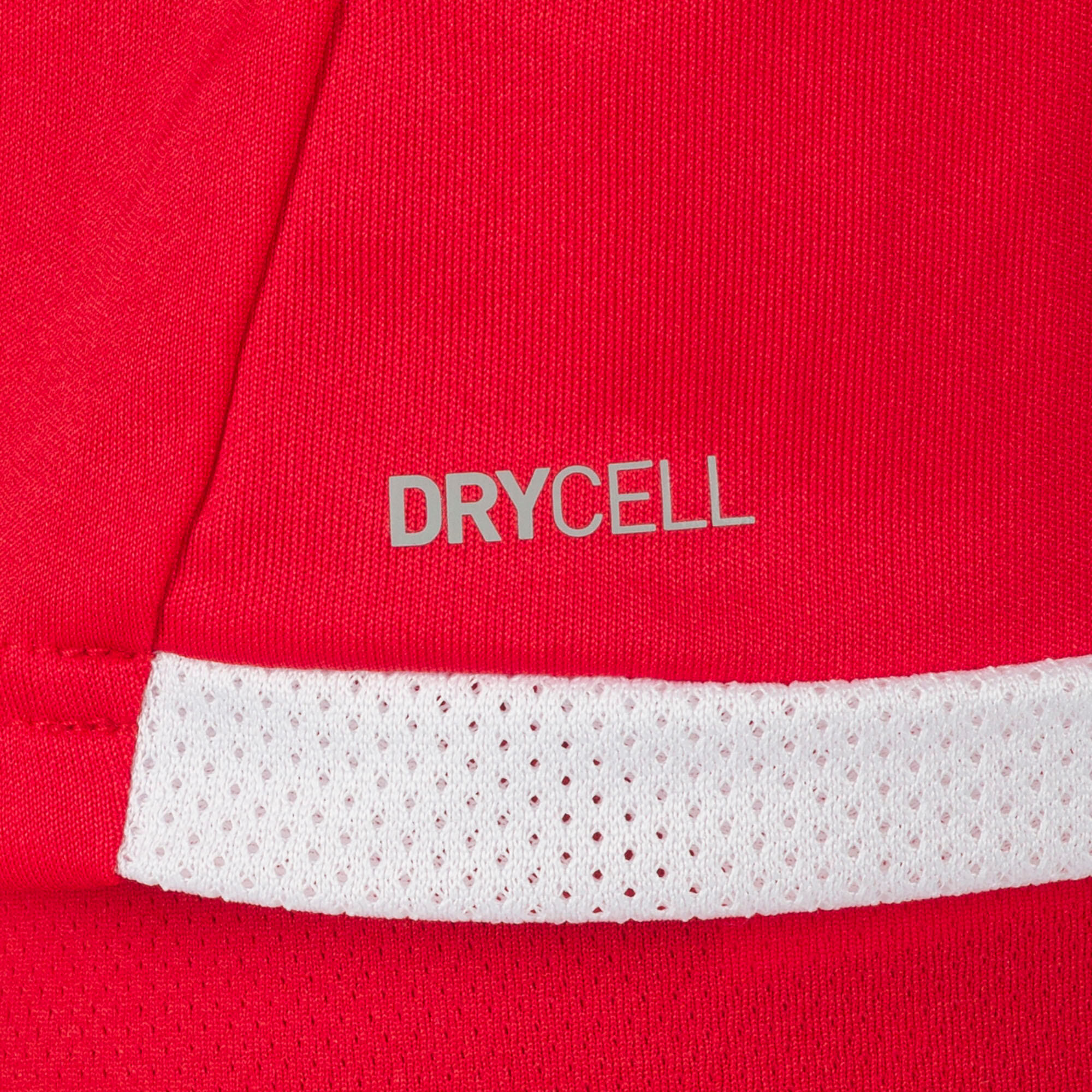 Koszulka Puma Team Liga 5/6