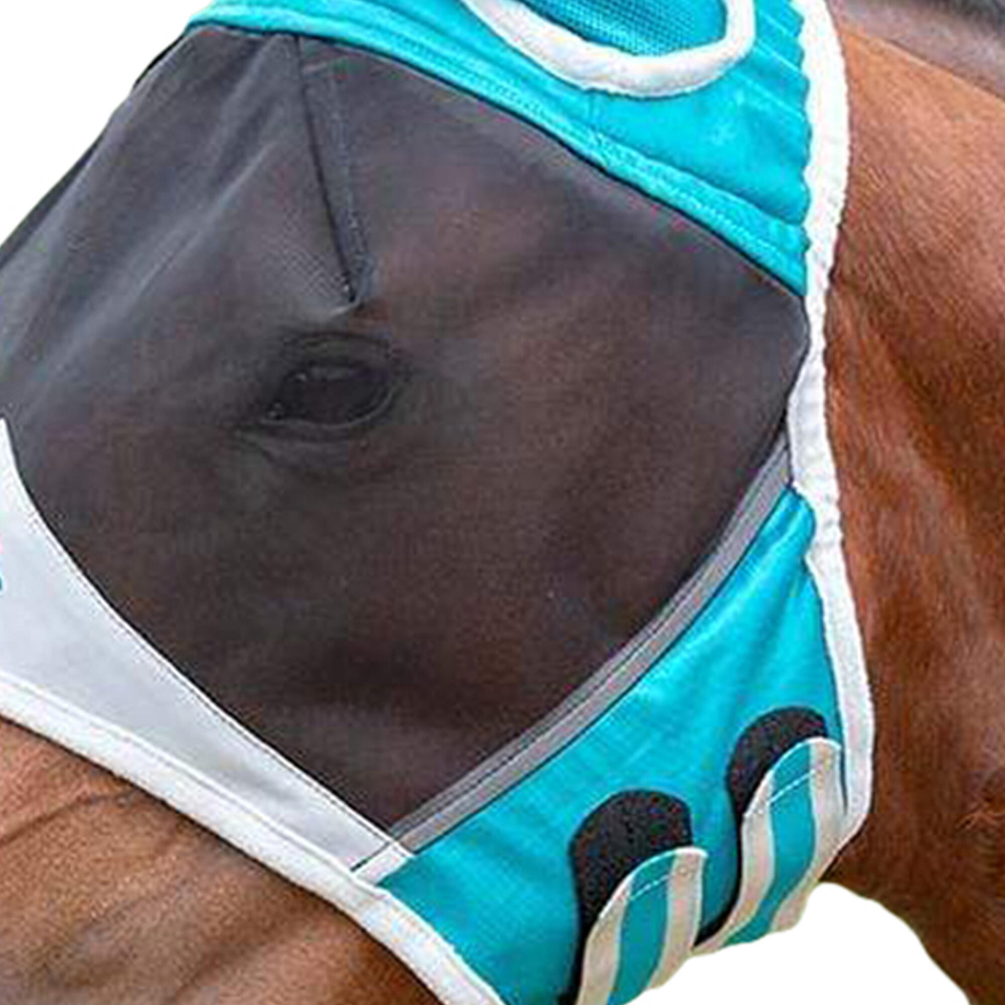 Fine Mesh Horse Fly Mask With Ears (Teal) 3/3