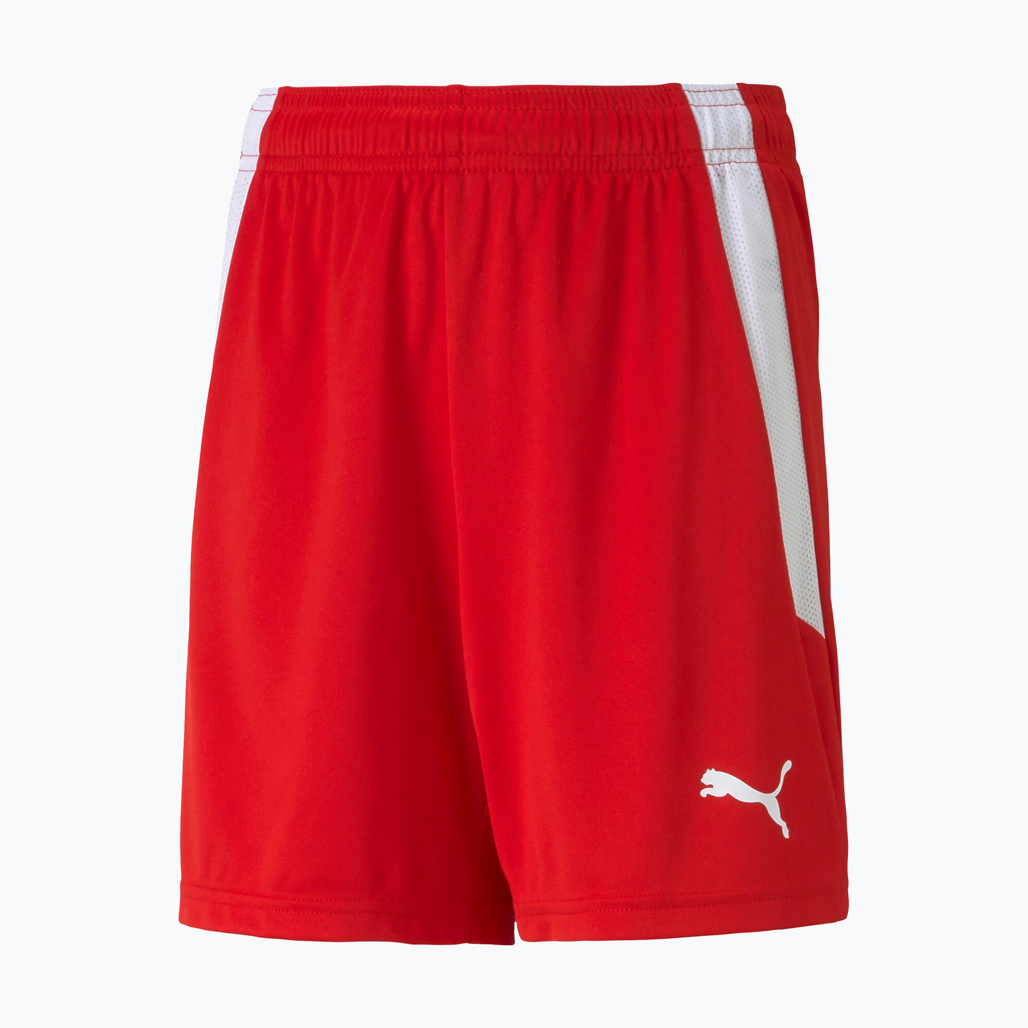 Pantaloncini per bambini Puma Team Liga 3/5