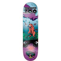 Plateau de skateboard unisexe Crandon par Bestial Wolf zoo bear