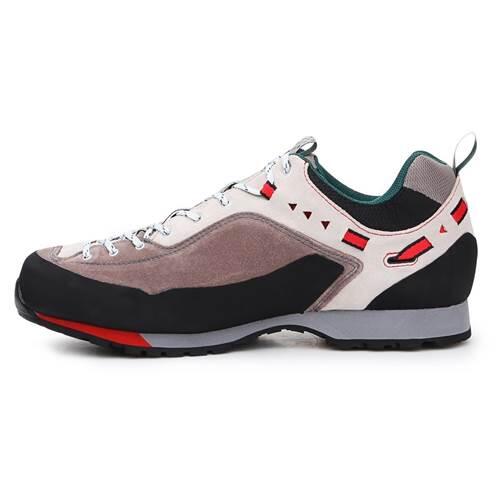 Chaussures de randonnée Garmont Dragontail LT GTX