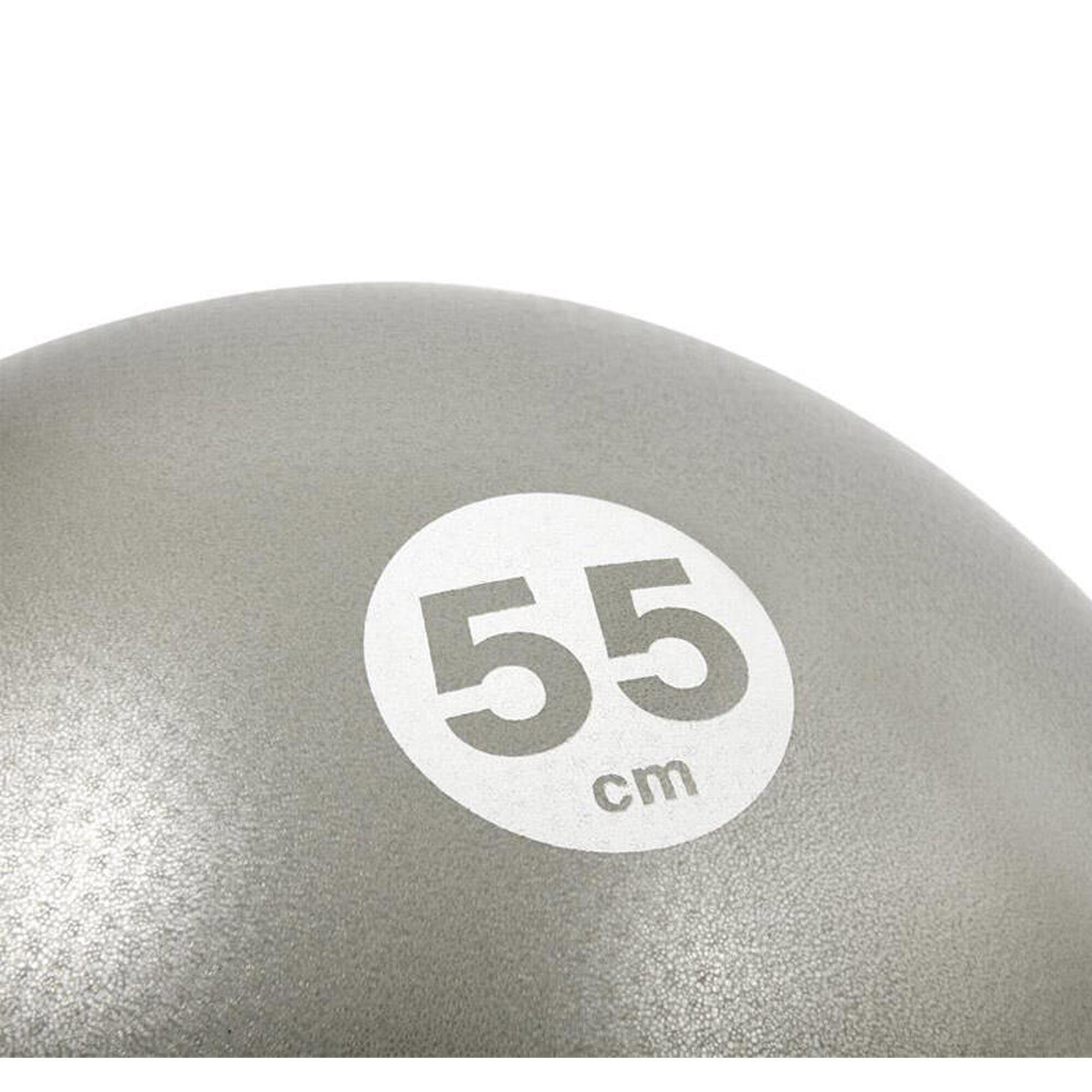Gymball Reebok Gris/Negra - 55cm