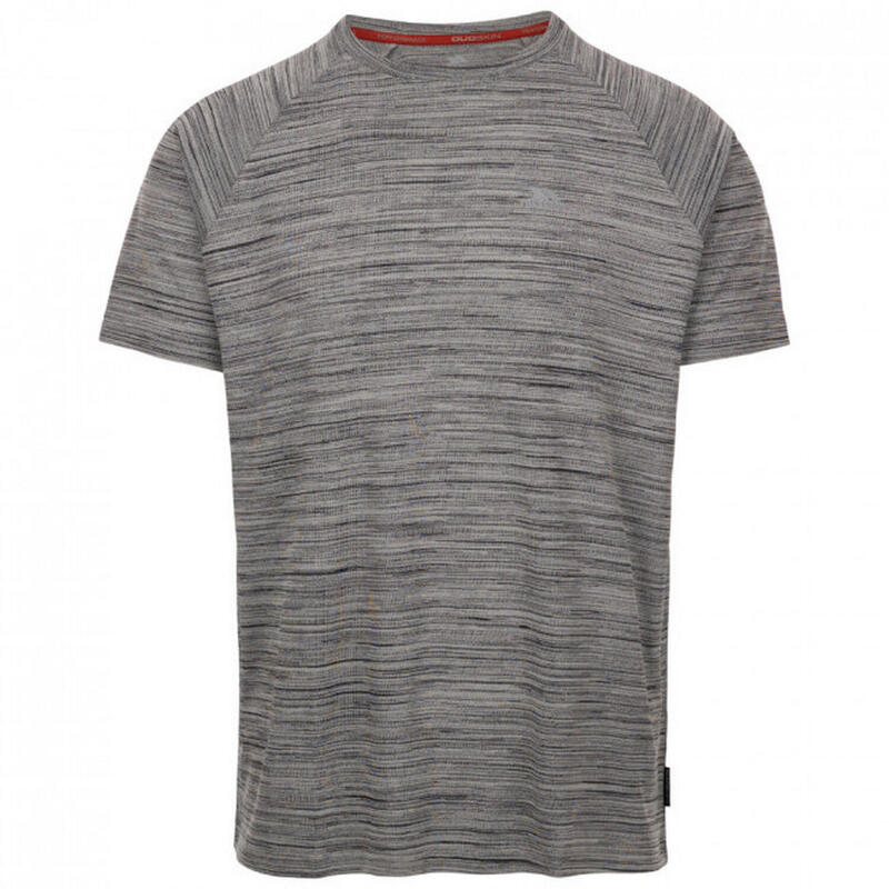 Tshirt LEECANA Homme (Gris)