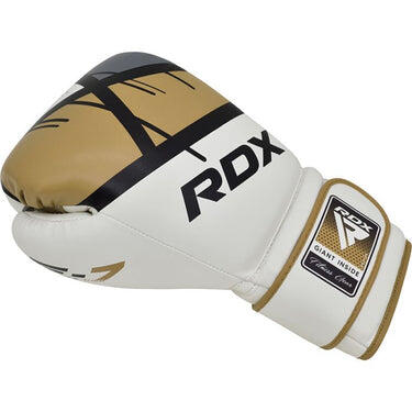 Gants de Boxe F7 Ego