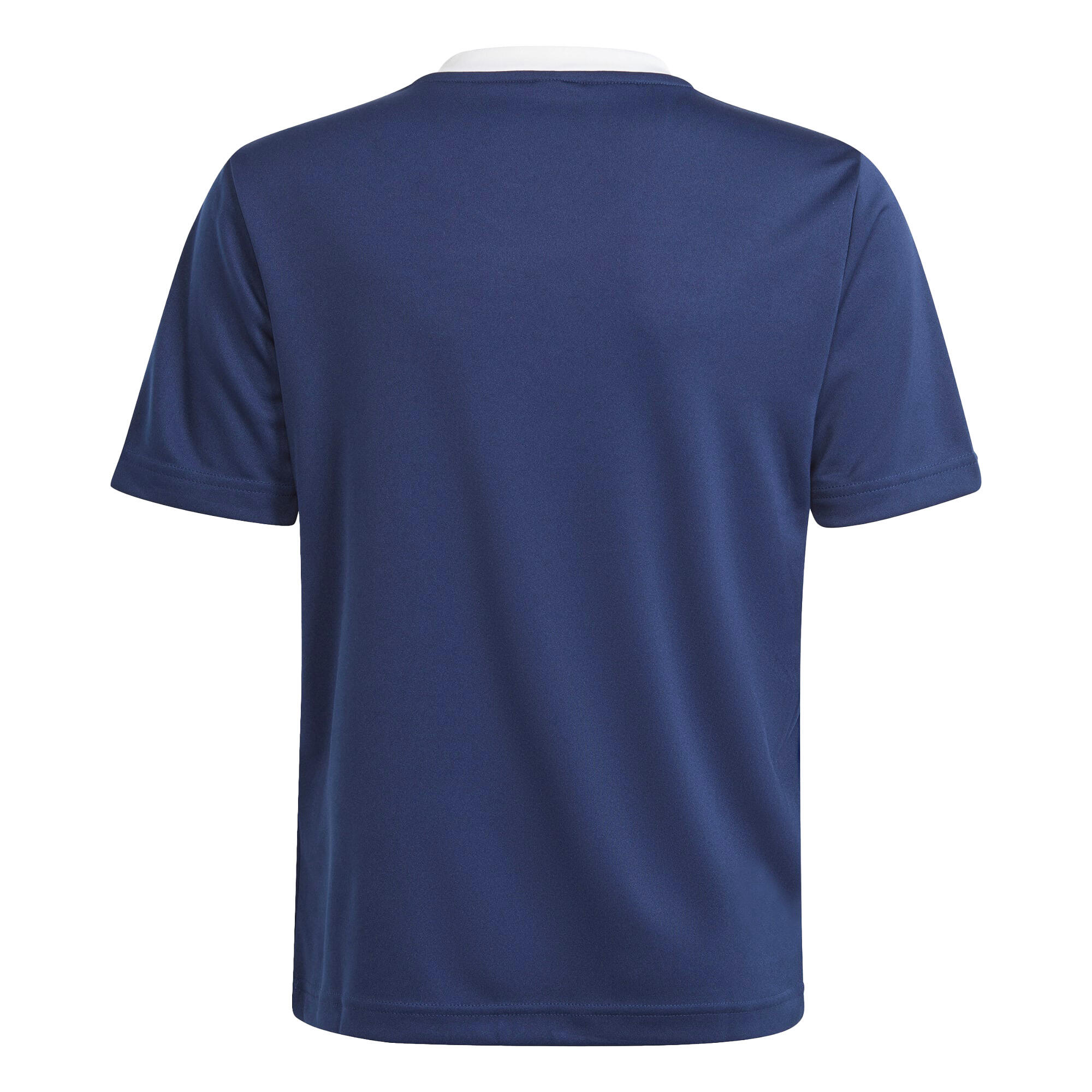 T-Shirt Adidas Sport Ent22 Jsy Y Tenabl Criança 2/6