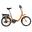 Bicicletta a pedalata assistita - Unisex – Denver E1000 - Pieghevole