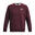 Hanorac pentru bărbați Under Armour Essential Fleece Crew