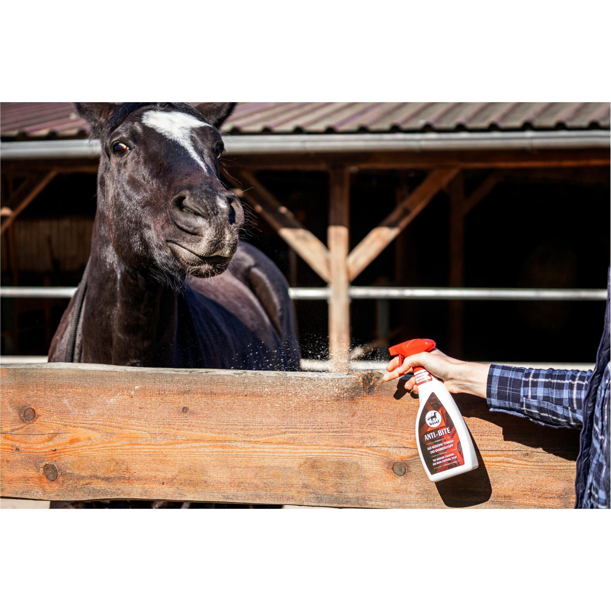 Leovet Anti-bijt Spray Kleurloos - 3/5