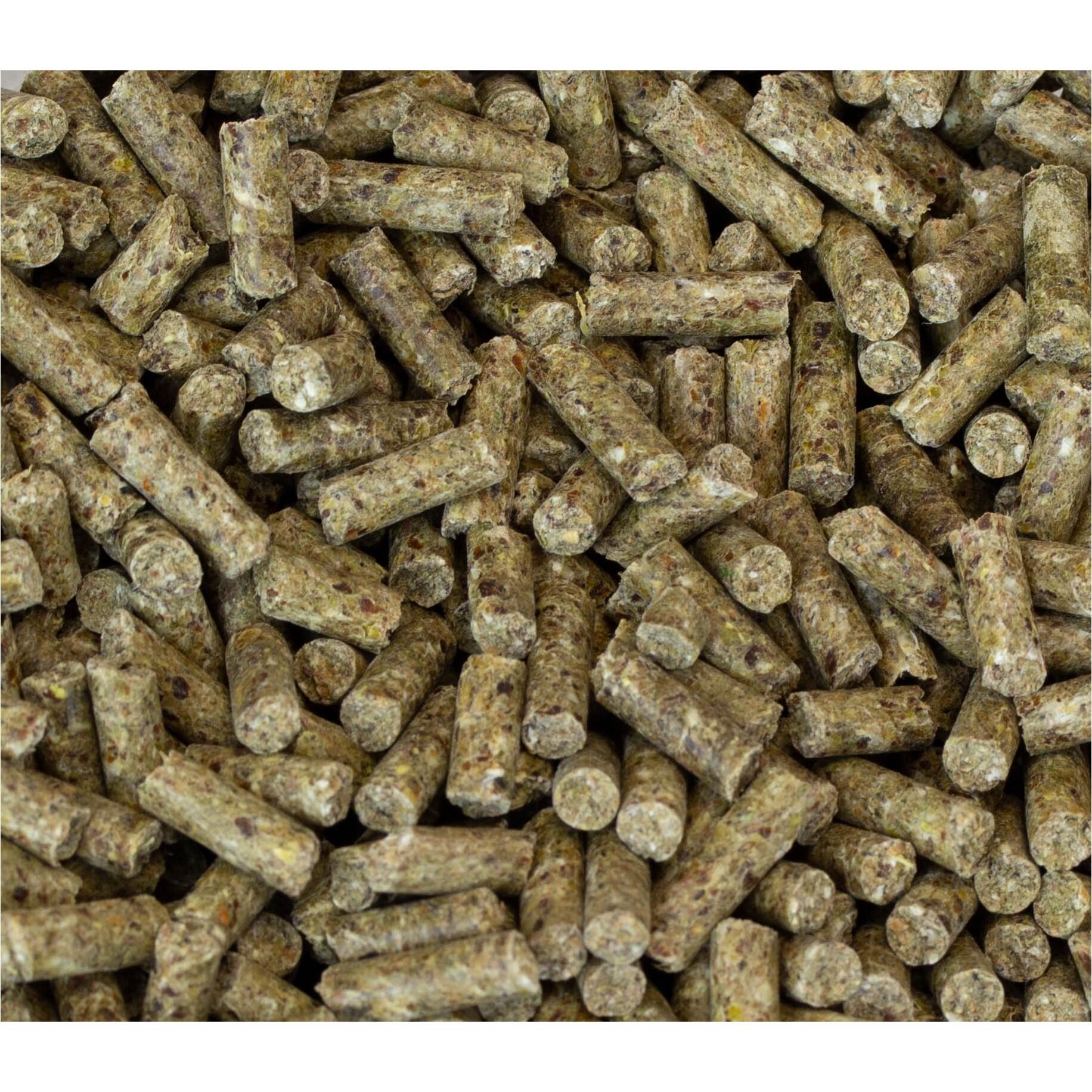 Complément alimentaire bronches Hamba Vet - LEOVET 3/7