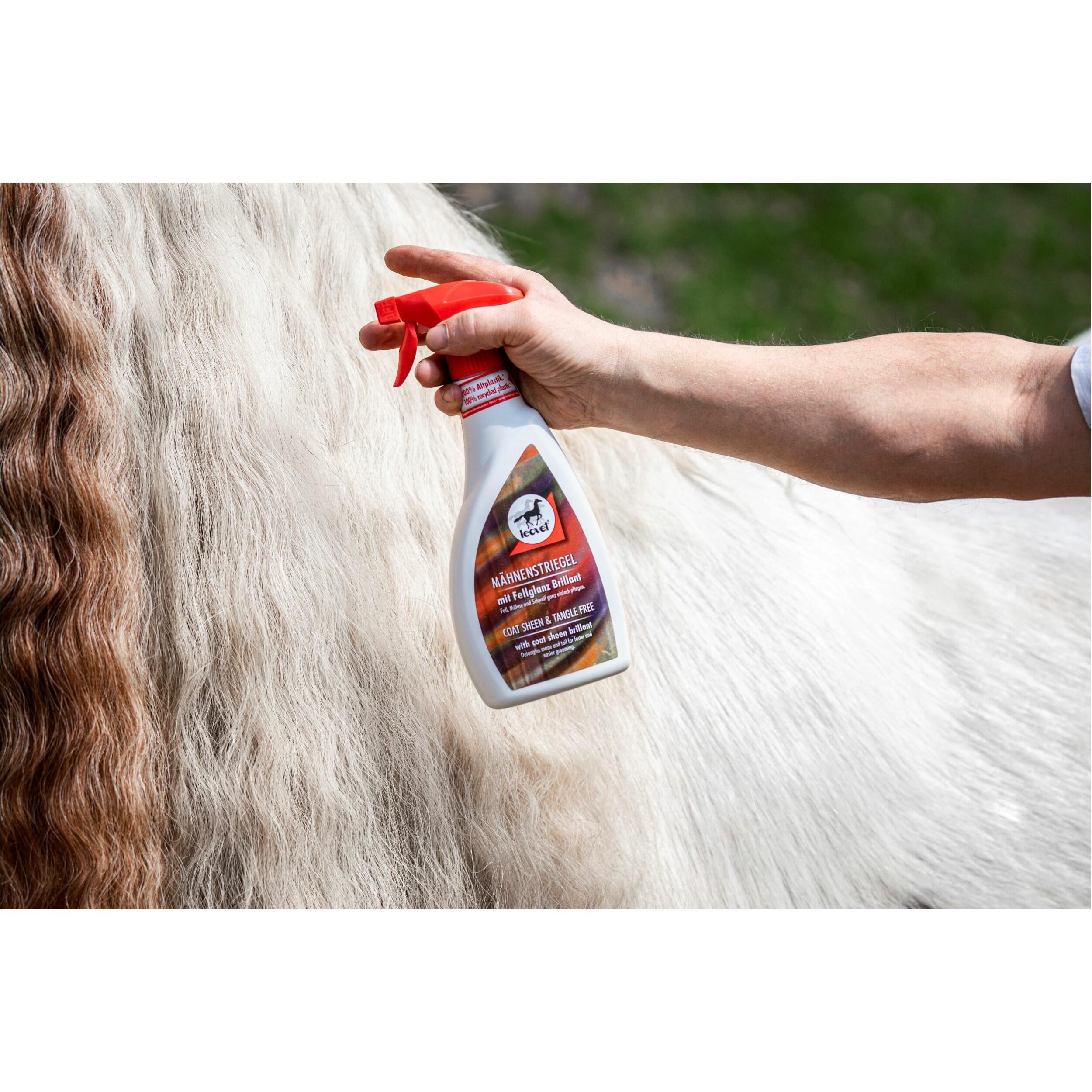 Spray démêlant lustrant - LEOVET 3/5