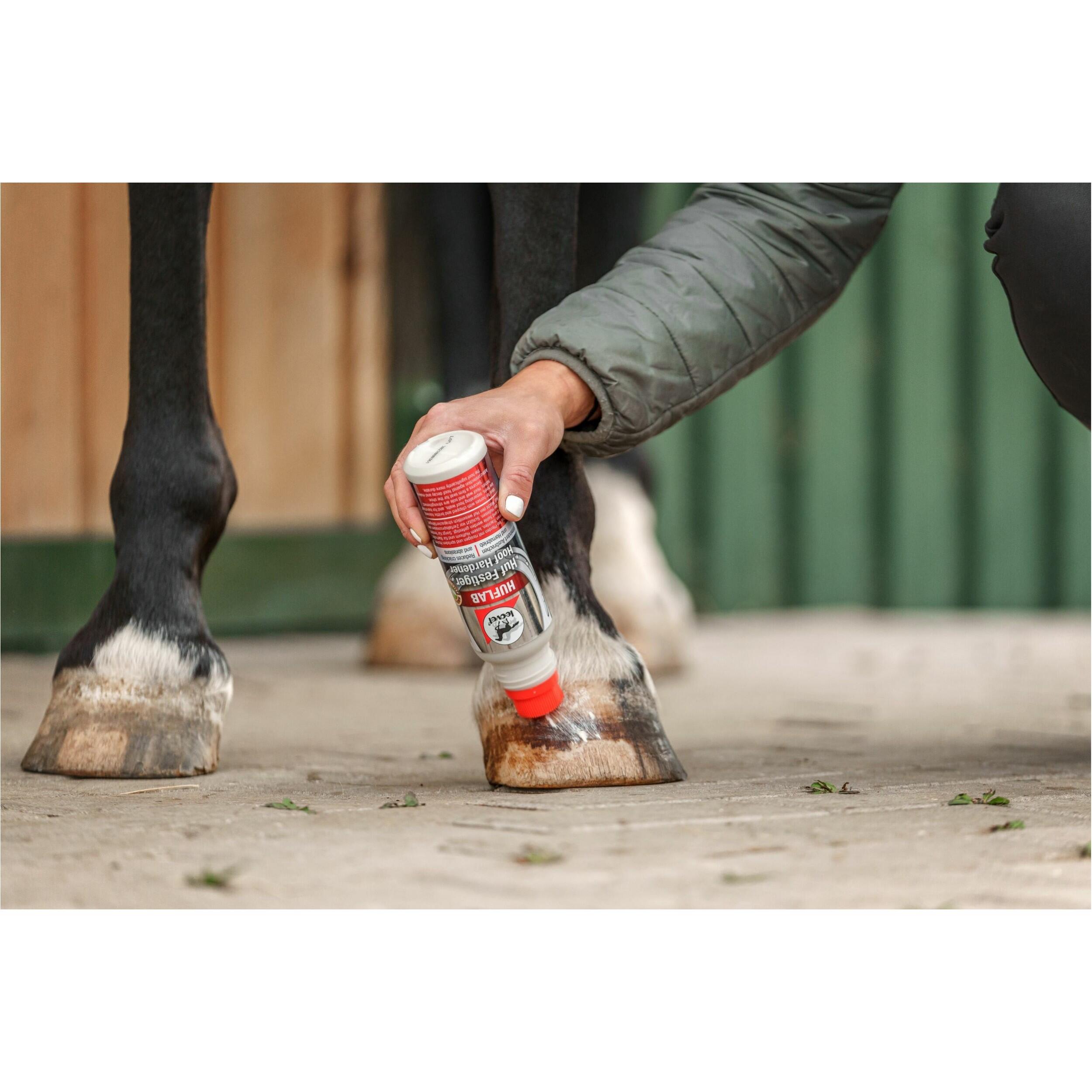 Durcisseur pour sabot avec brosse - LEOVET 3/3