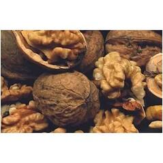 Leovet Power Detangler Walnut - 550 ml 4/5