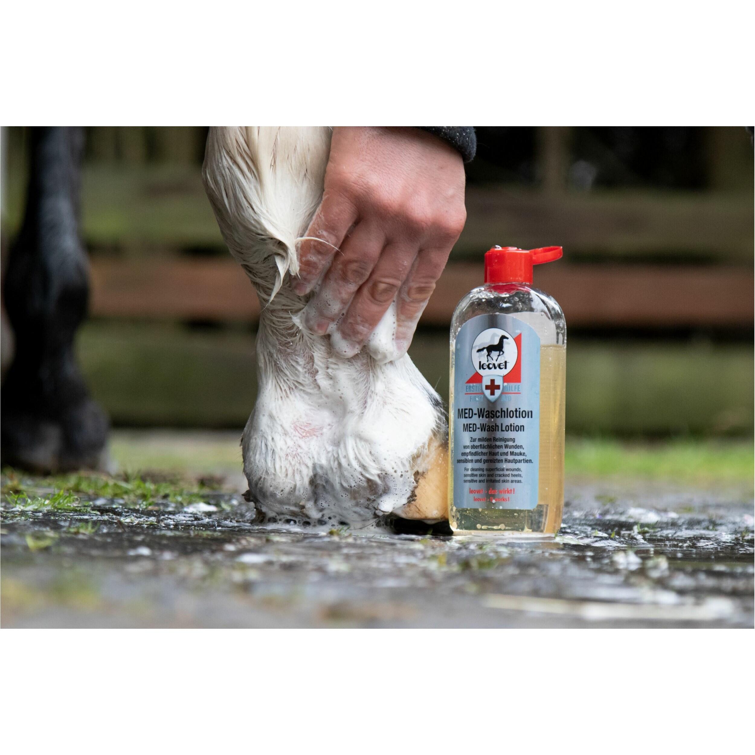 Lotion lavante sans savon MED - LEOVET 3/6