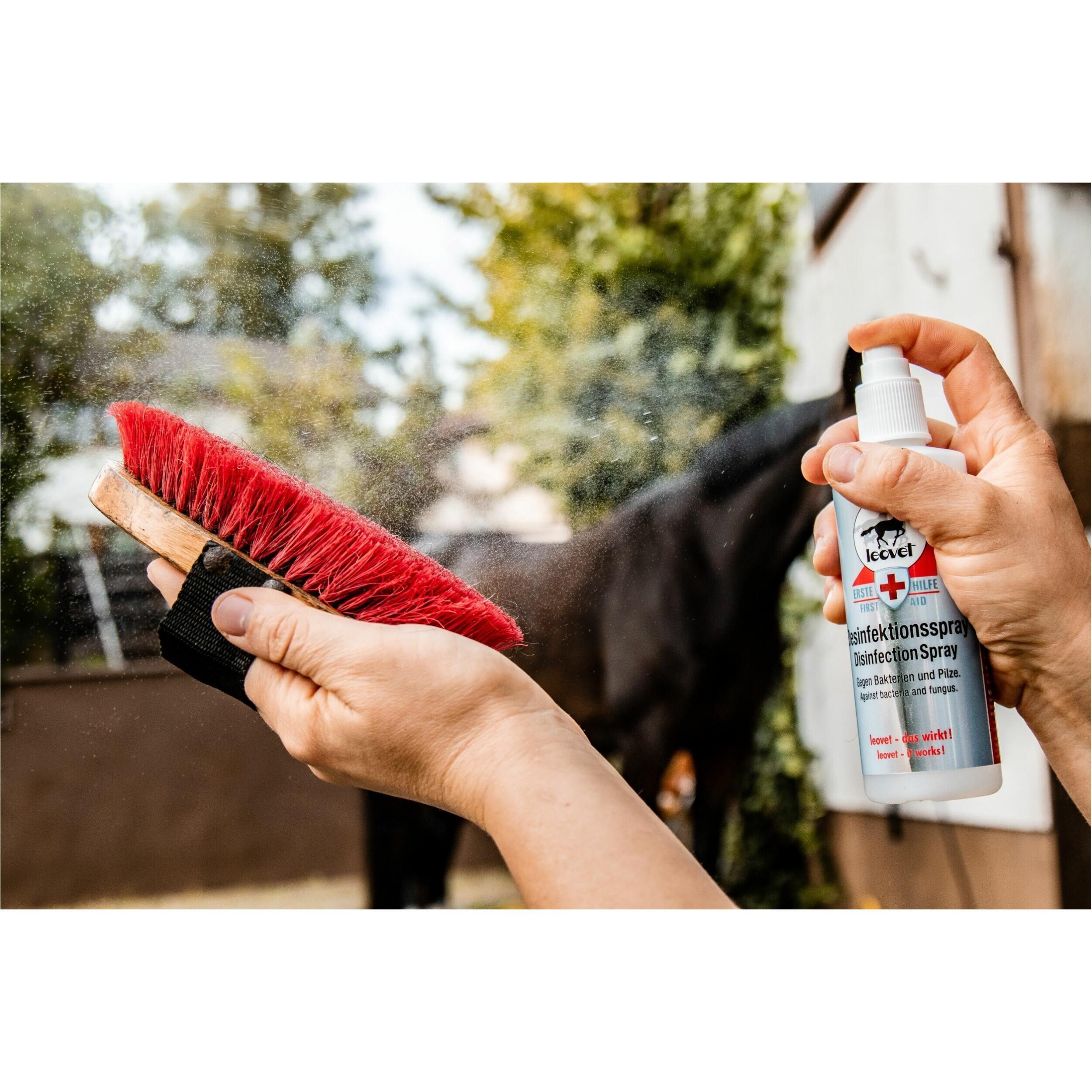 Spray nettoyant First Aid - LEOVET 3/4