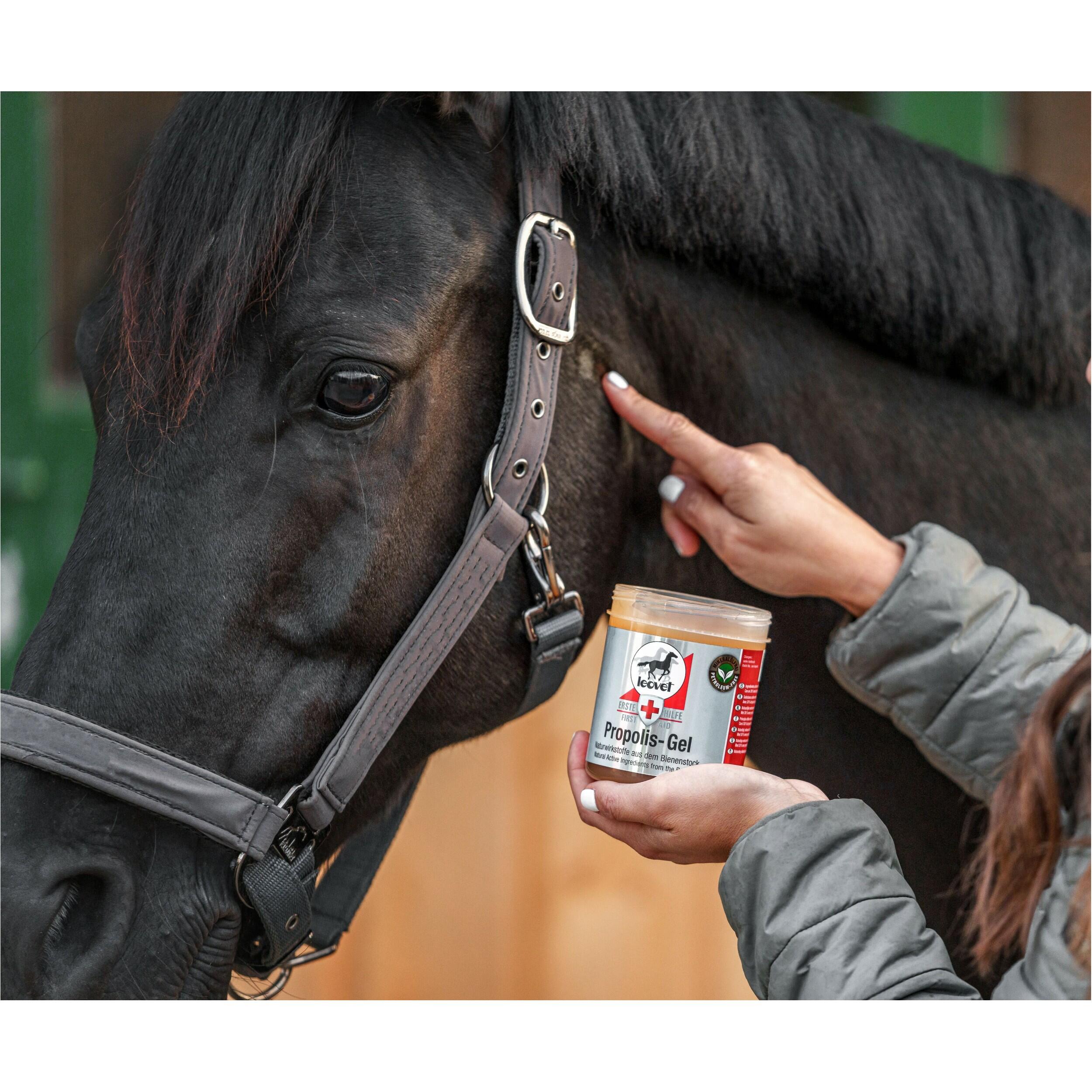 Gel propolis First Aid - LEOVET 3/5