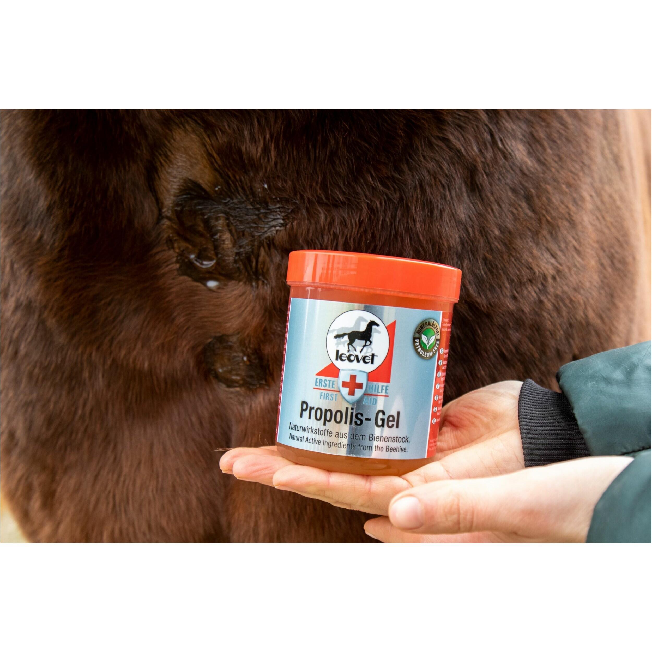 Gel propolis First Aid - LEOVET 2/5