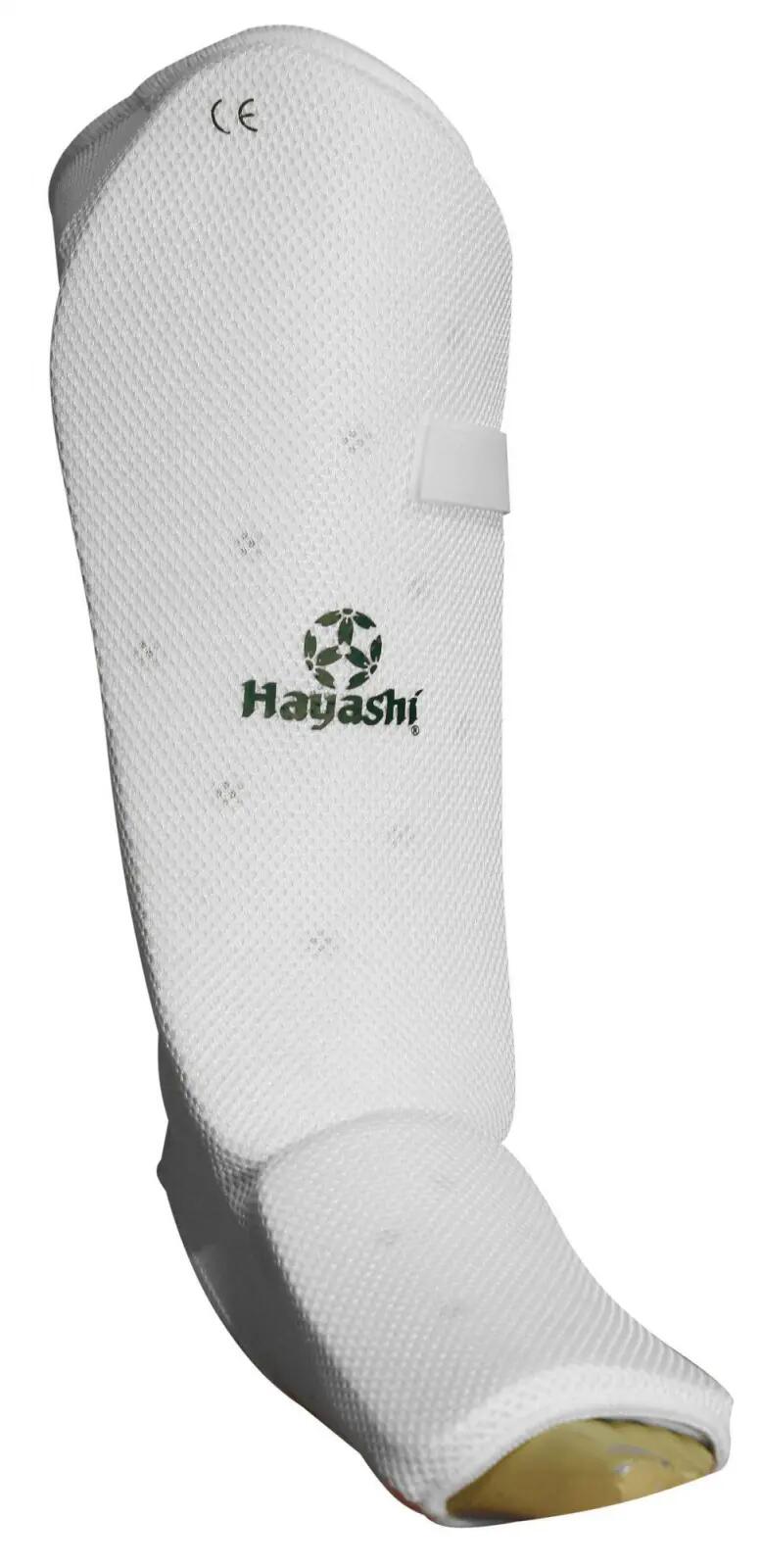 HAYASHI picture