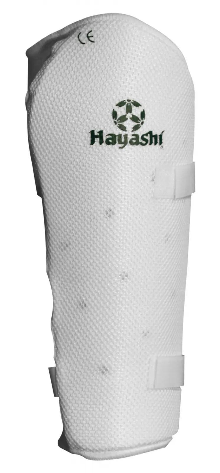HAYASHI picture