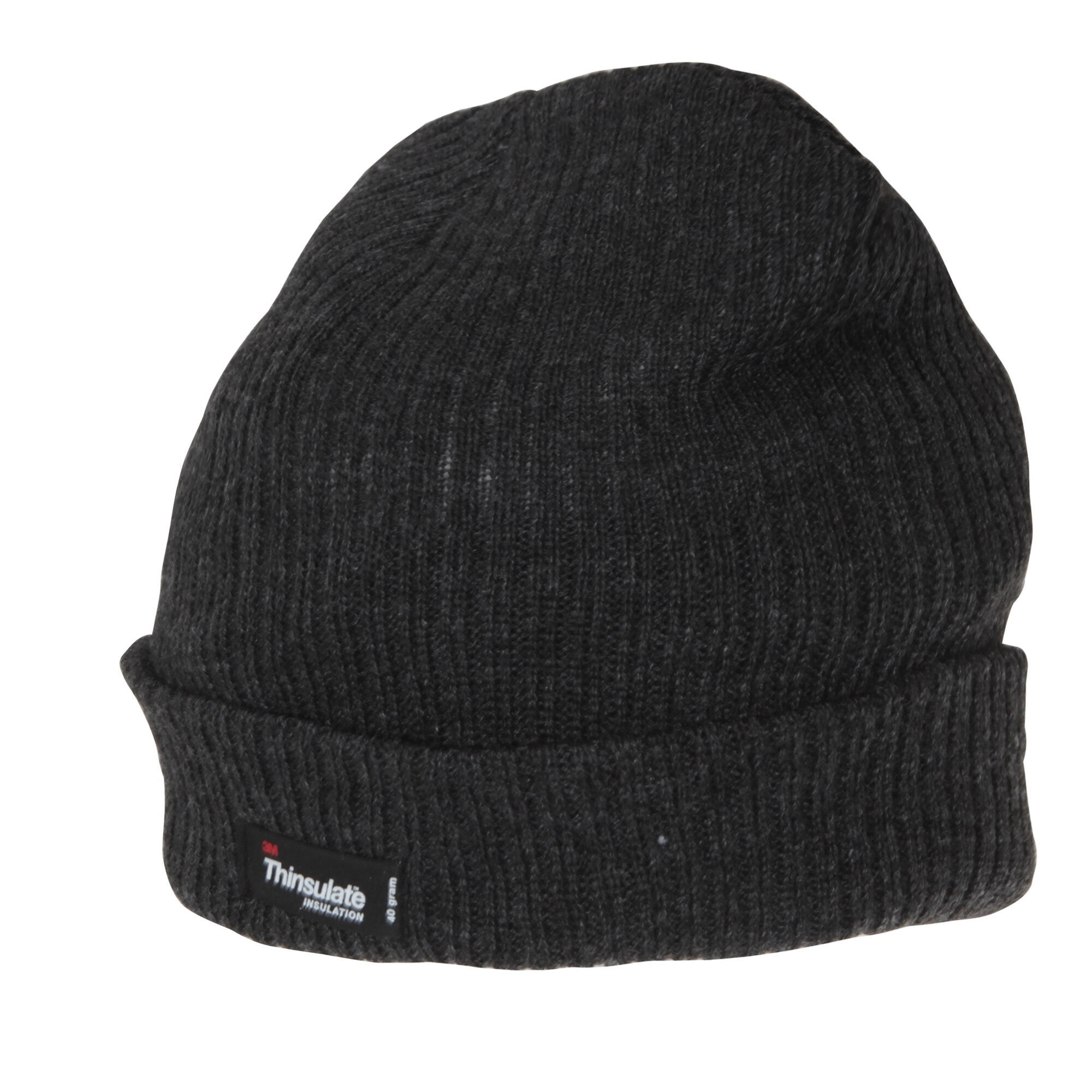 Mens Thinsulate Beanie (Grey) 3/3