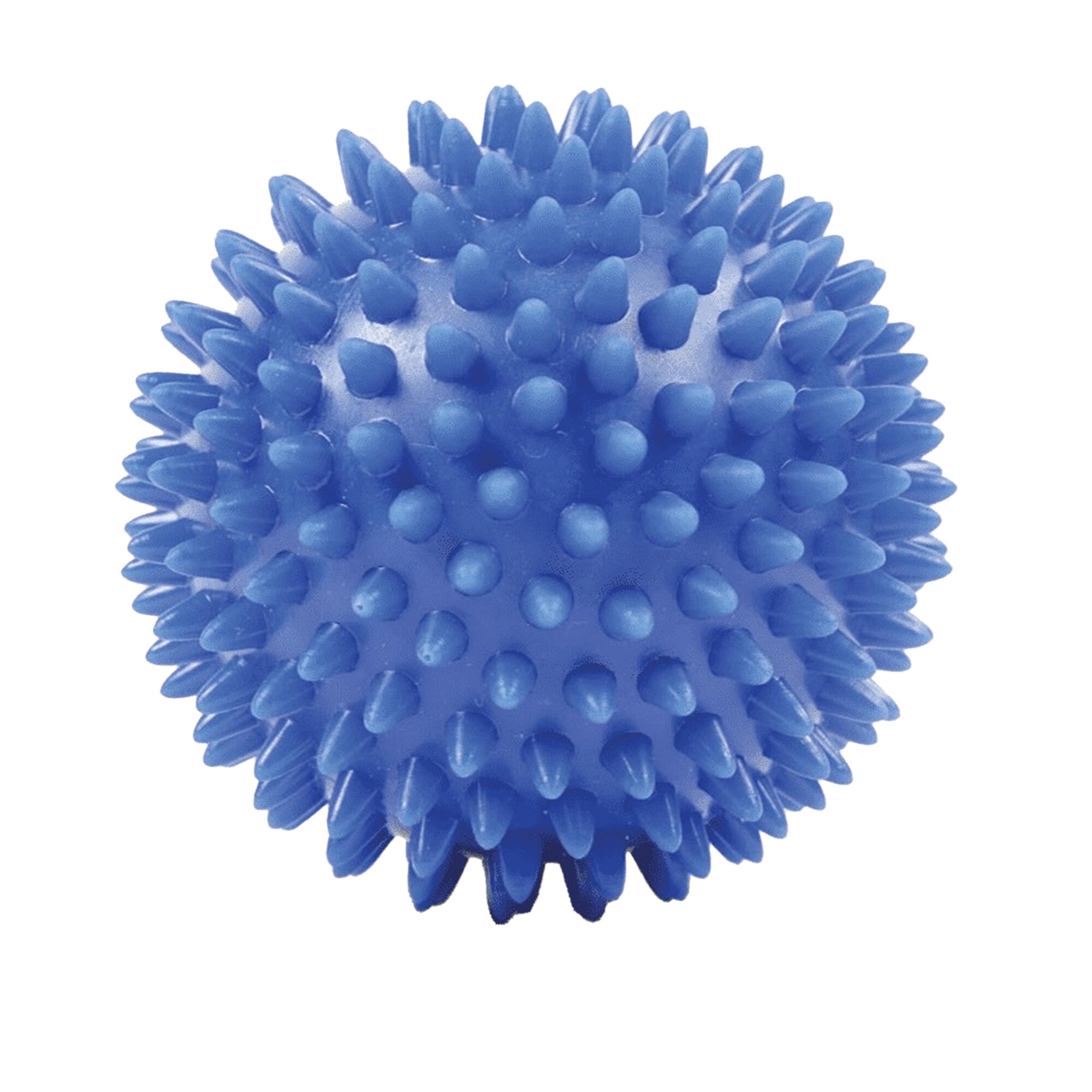 Massage Ball (Blue) 1/3