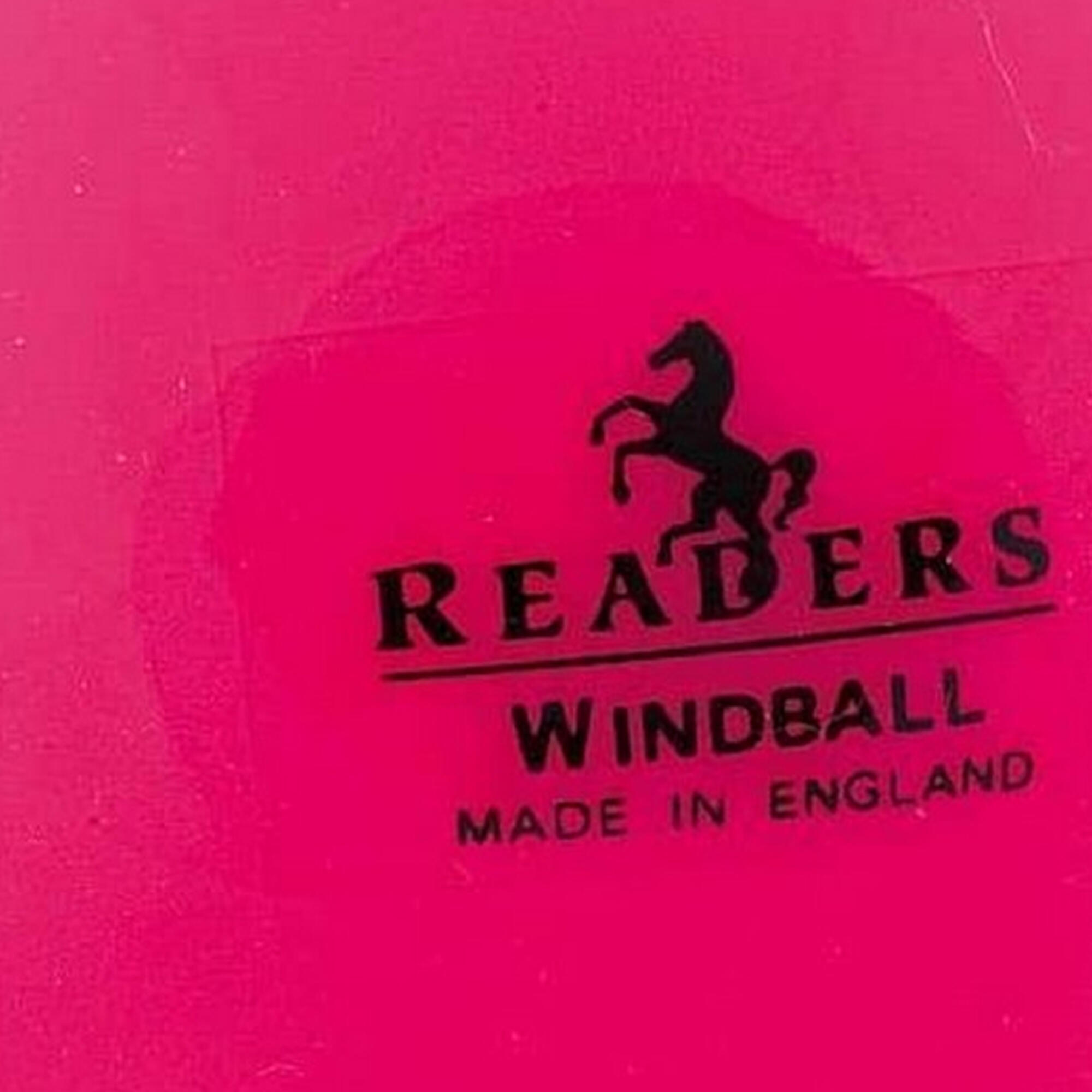 "Windball" Cricket Ball für Kinder Pink Einheitsgröße 3/3
