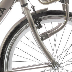 Fourche avant Alpina 24 Clubb en or matt