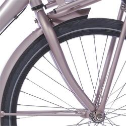 Fourche Cortina 26 U4argent brillant mat