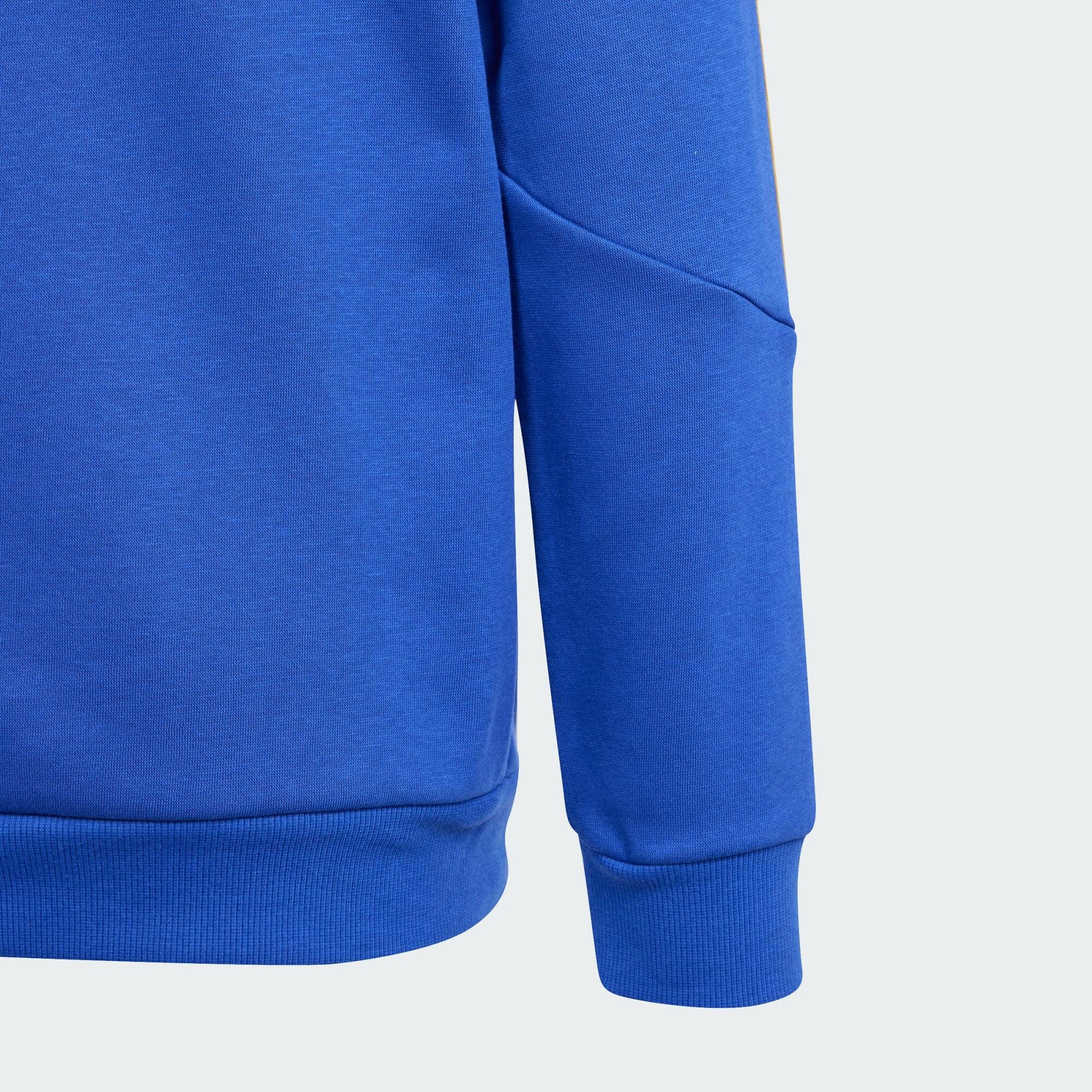 Sudadera con capucha Pitch 2 Street Messi (Adolescentes) 2/5