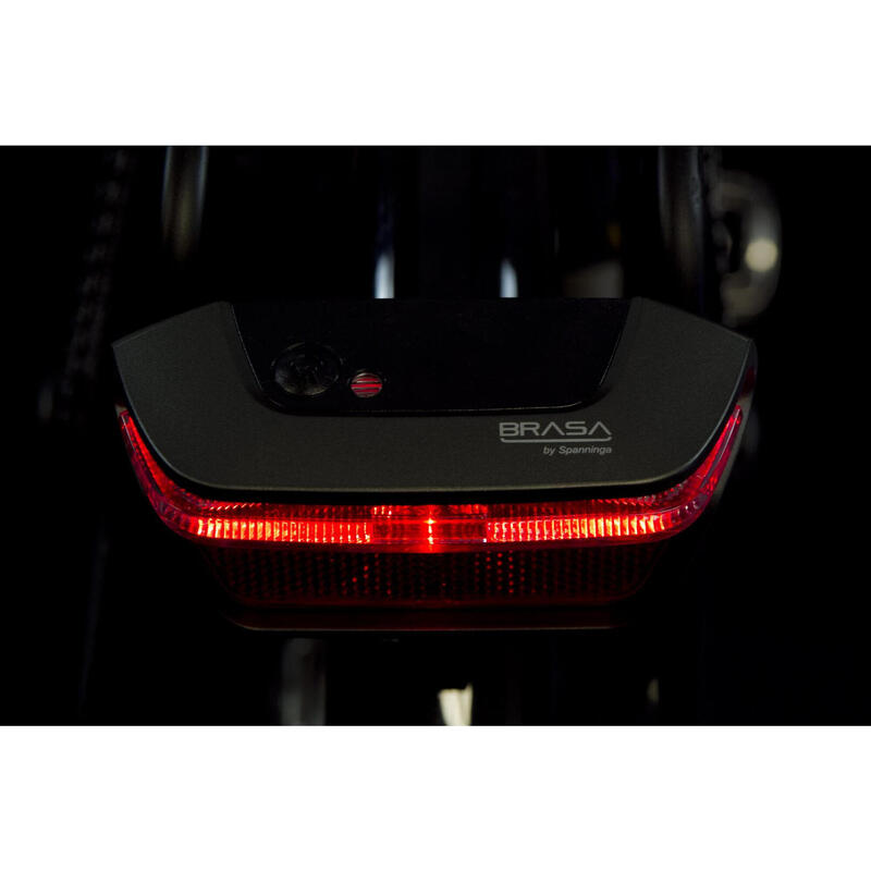Tylna Lampka Bagażnika Brasa E-Bike 6-12 Volt (Mocowanie 80 Mm)