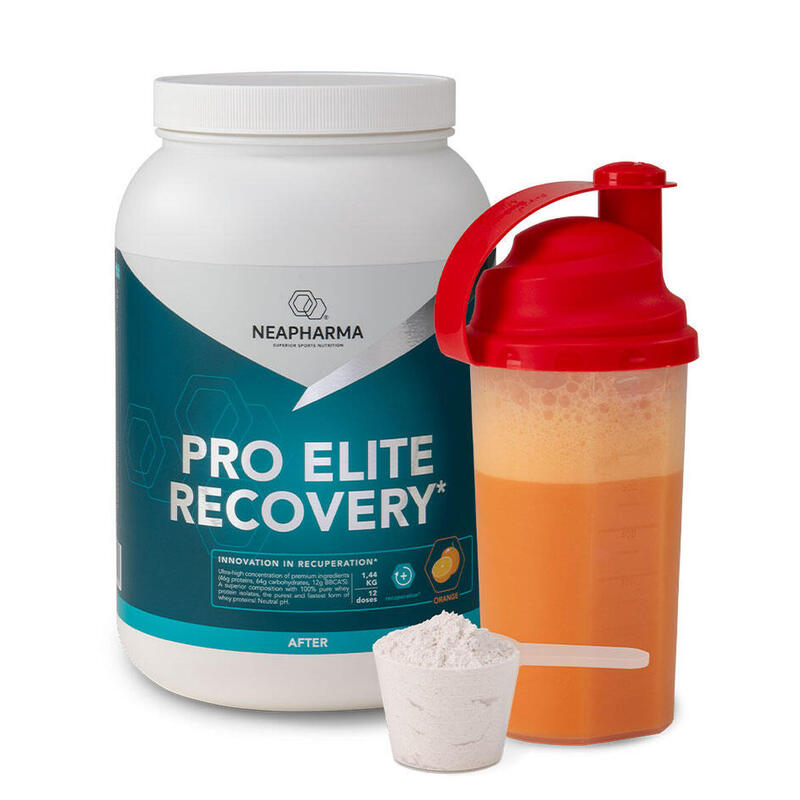 Recovery shake 58gr proteïne, 1,44kg, Sinaasappel, Spierherstel, conditieopbouw