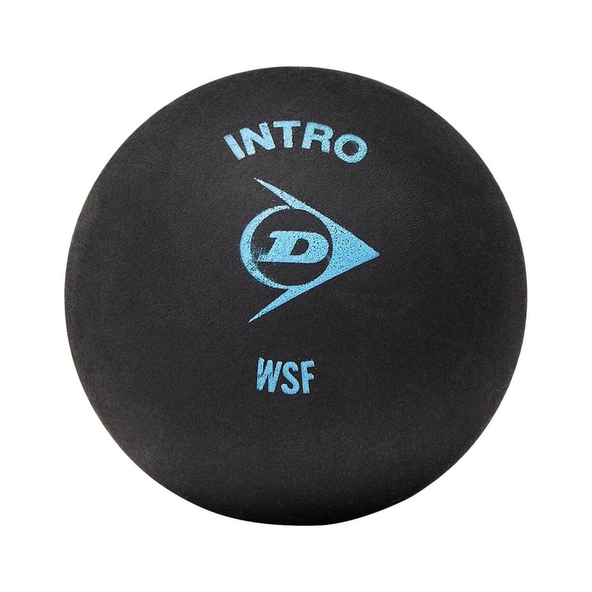 Intro Squash Balls (Pack of 12) (Black) 1/3