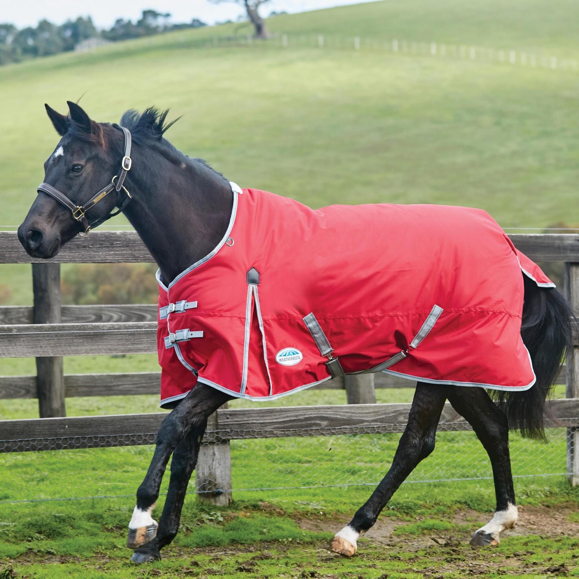 Comfitec Classic StandardNeck Lite 100g Horse Rug (Red/Silver/Navy) 4/4
